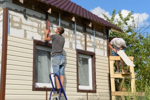 Best Custom Trim and Detailing for Siding  in Dover, DE